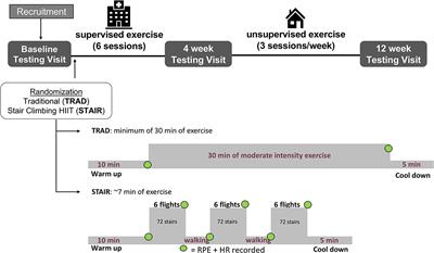 Brief Vigorous Stair Climbing Effectively Improves Cardiorespiratory Fitness in Patients With Coronary Artery Disease: A Randomized Trial